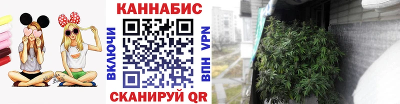 Купить закладки  Черняховск  МАРИХУАНА Amnesia 